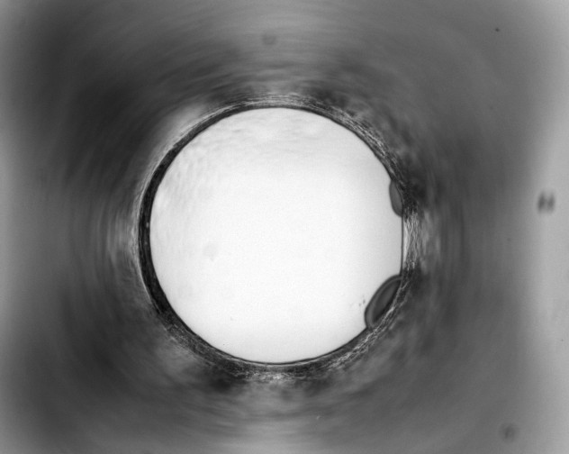 X0000103450195200810101135