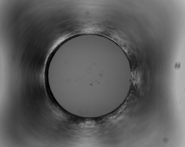 X0000103450196200810101135