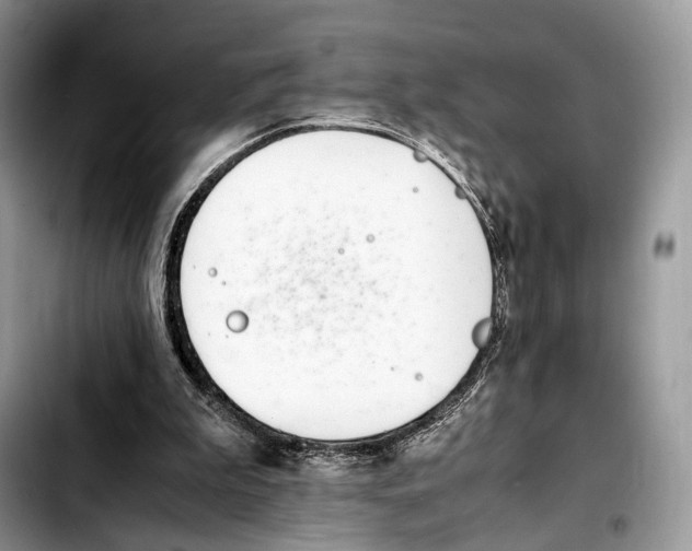 X0000103450199200810101135