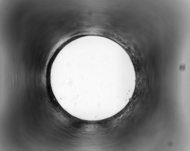 X0000103450200200810101135