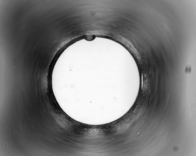 X0000103450204200810101135