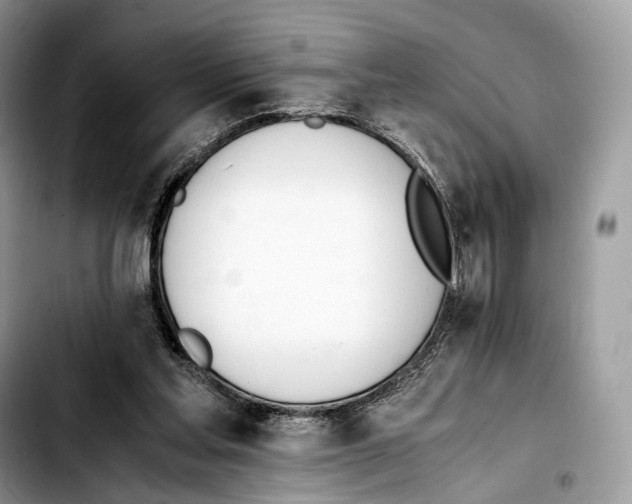 X0000103450205200810101135