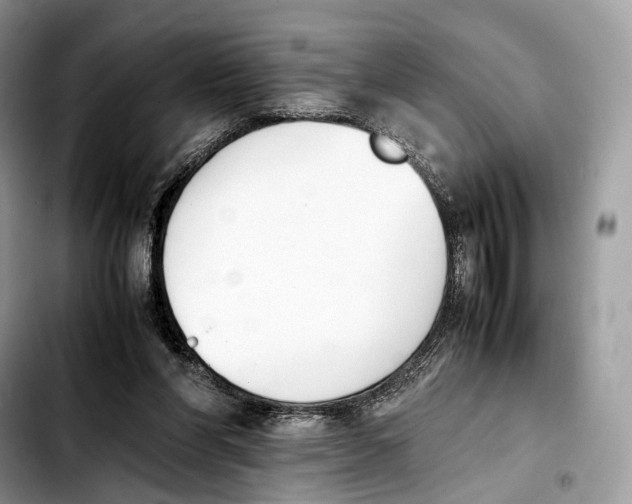 X0000103450206200810101135