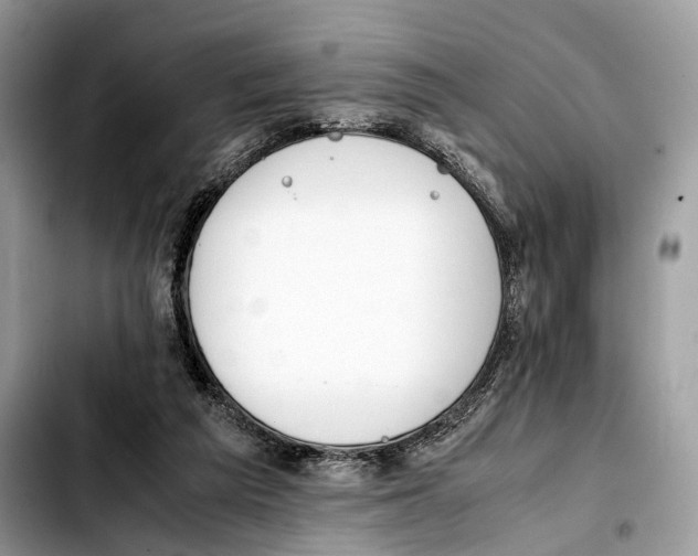 X0000103450209200810101135