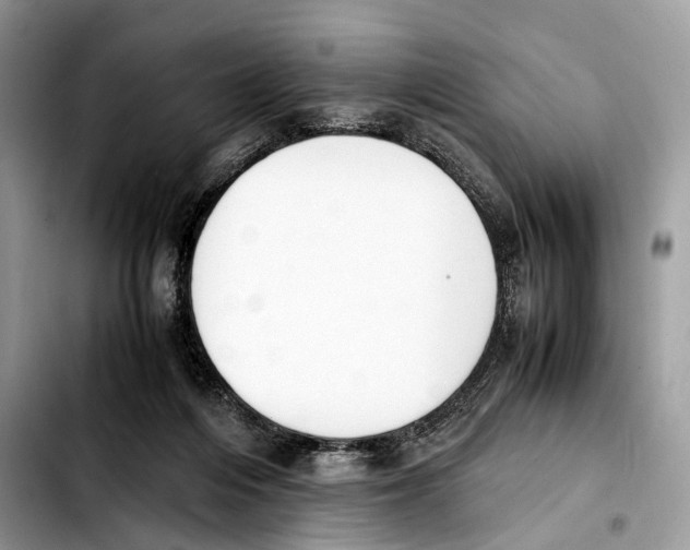 X0000103450216200810101135