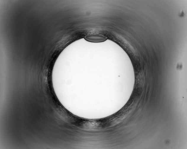 X0000103450217200810101135