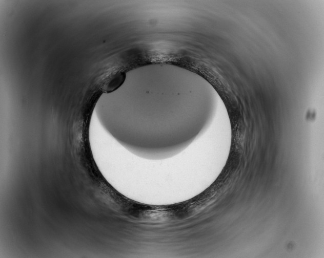 X0000103450219200810101135