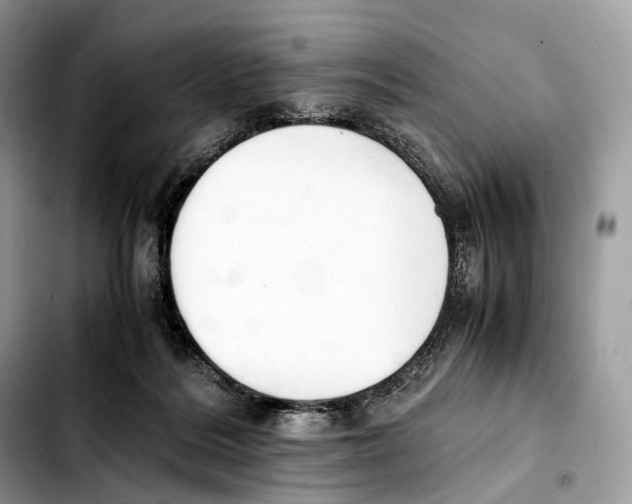 X0000103450220200810101135