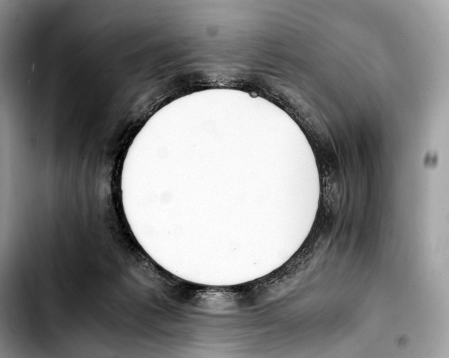 X0000103450221200810101135