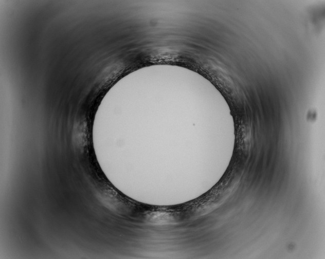 X0000103450224200810101135