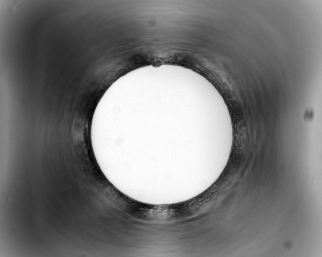 X0000103450225200810101135