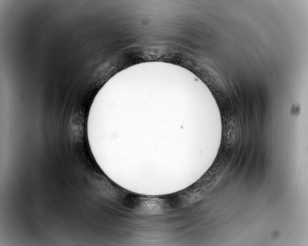 X0000103450226200810101135