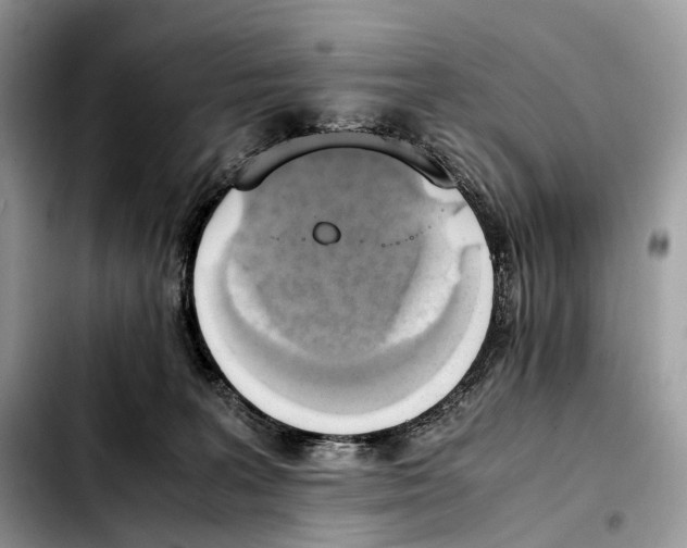 X0000103450227200810101135