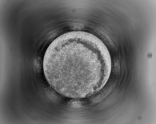 X0000103450228200810101135