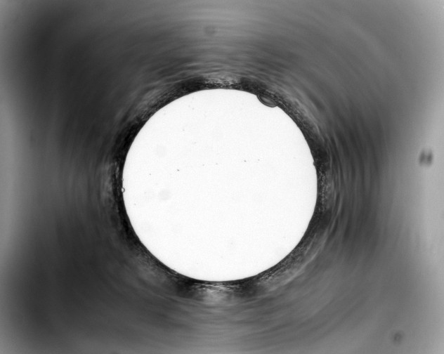 X0000103450229200810101134