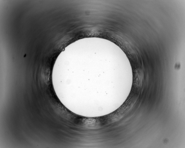 X0000103450230200810101134