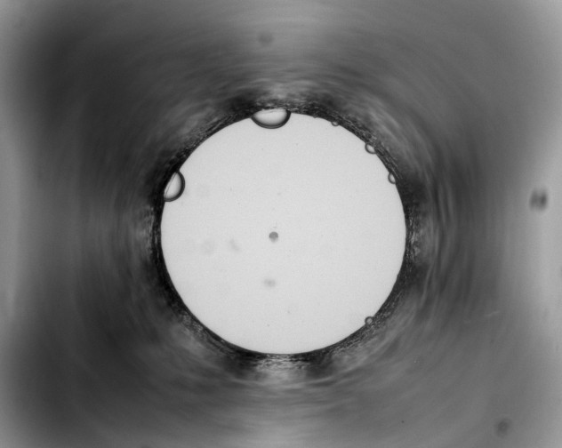 X0000103450231200810101134