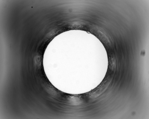 X0000103450232200810101134