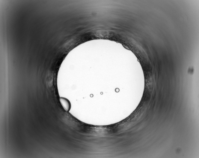 X0000103450233200810101134