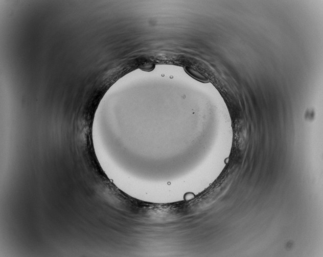 X0000103450235200810101134