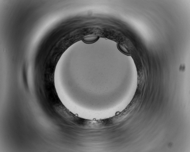 X0000103450239200810101134