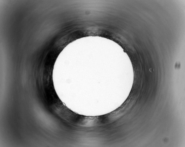 X0000103450240200810101134