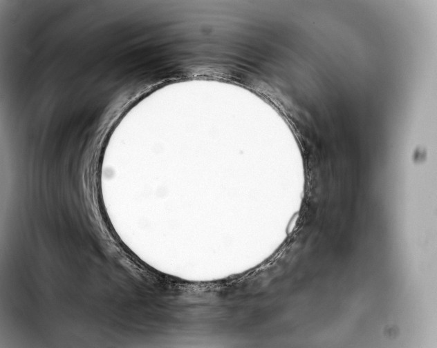 X0000103450241200810101133