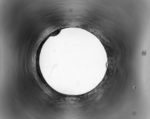 X0000103450242200810101134