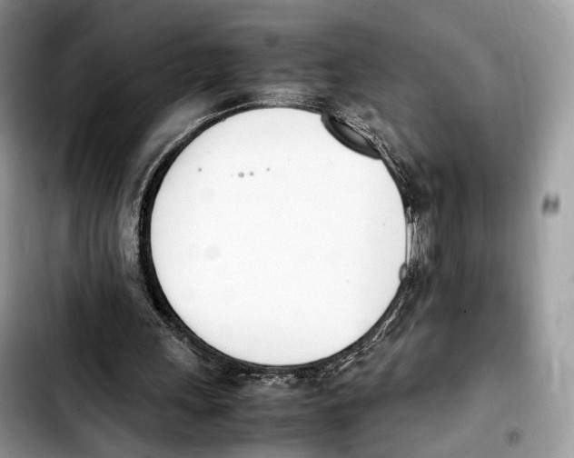 X0000103450243200810101134