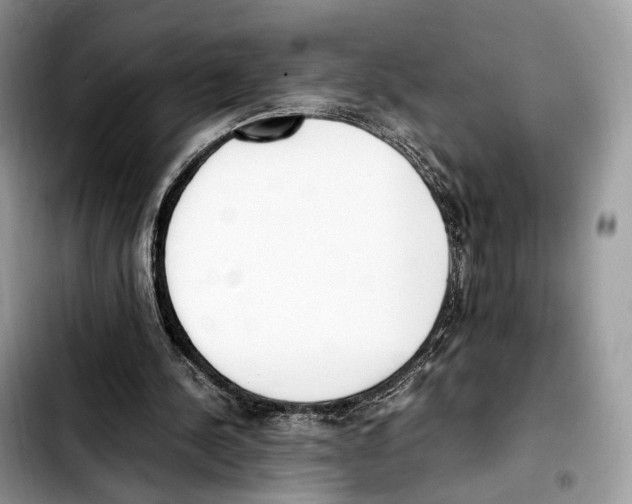 X0000103450244200810101134