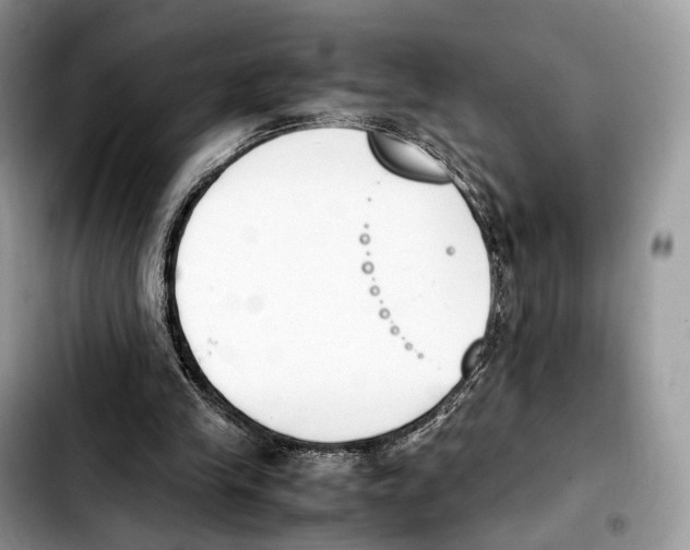 X0000103450245200810101134