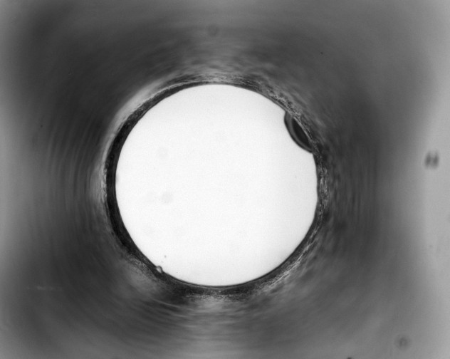 X0000103450246200810101134