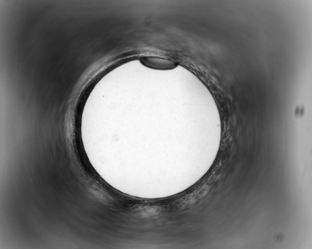 X0000103450247200810101134