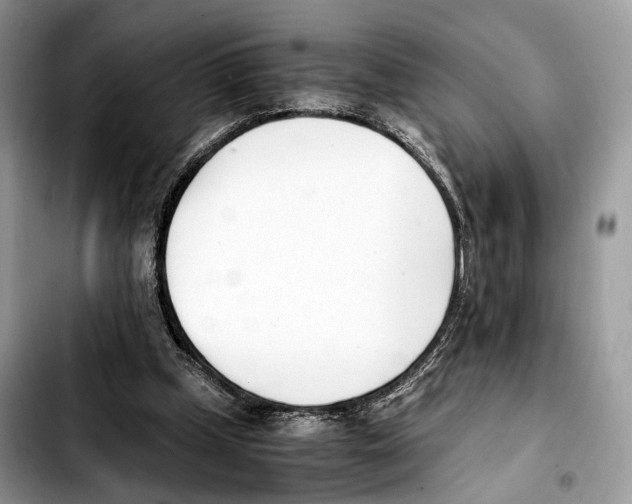 X0000103450249200810101134