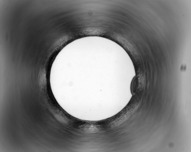 X0000103450254200810101134