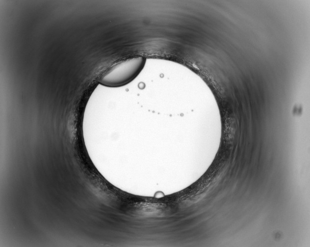 X0000103450255200810101134