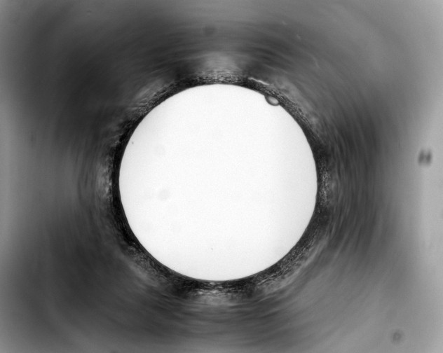 X0000103450259200810101134