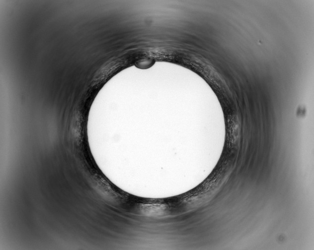 X0000103450266200810101134