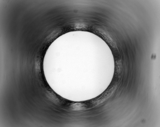 X0000103450269200810101134