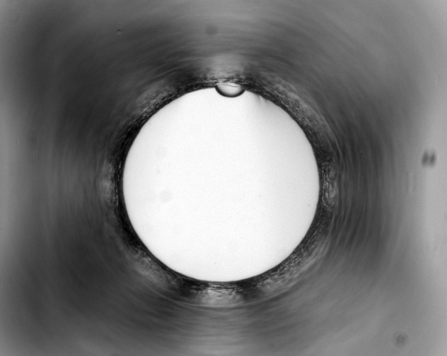 X0000103450270200810101134