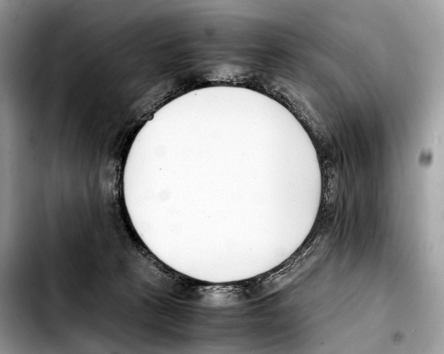 X0000103450273200810101134