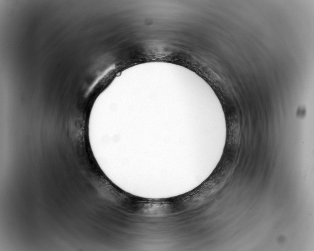 X0000103450274200810101134