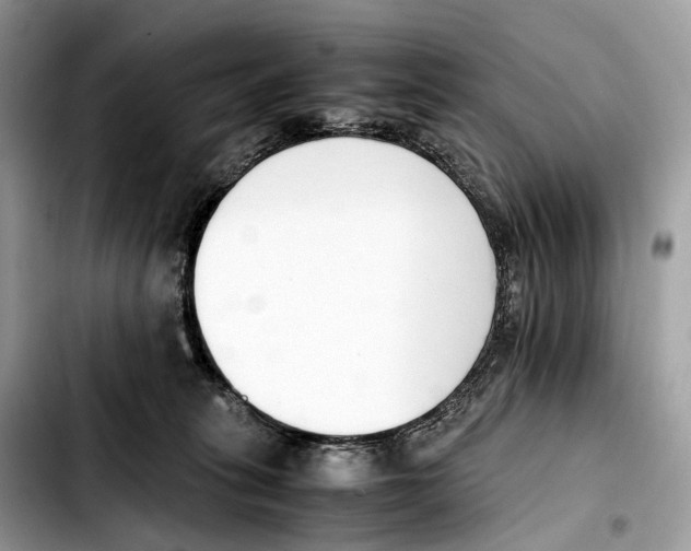 X0000103450275200810101134