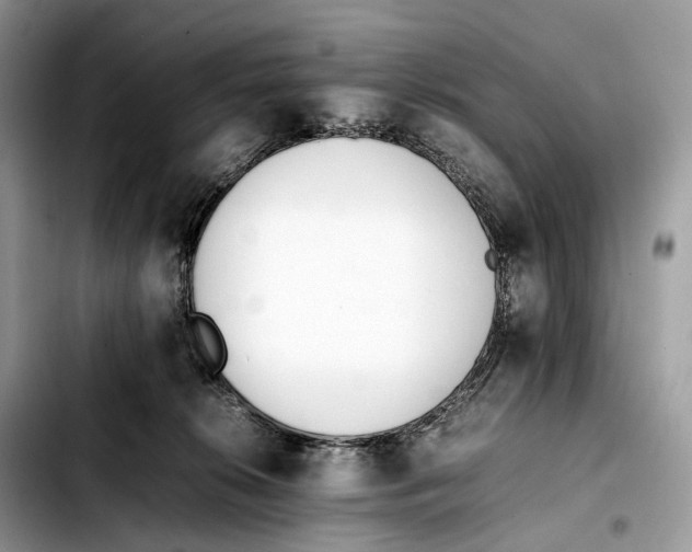 X0000103450276200810101134