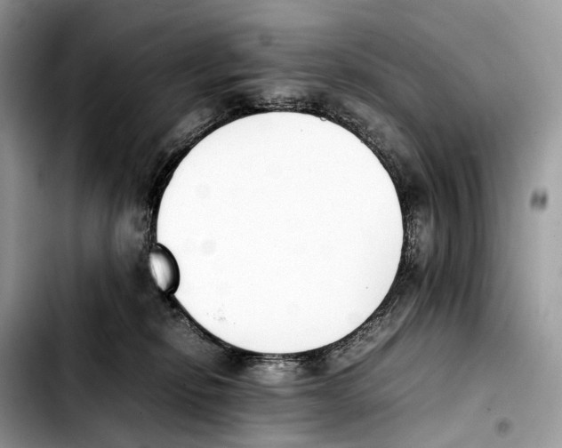 X0000103450278200810101134