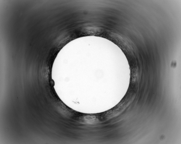 X0000103450279200810101134