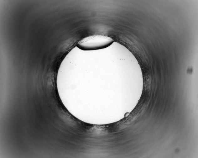 X0000103450280200810101134