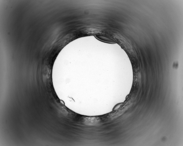 X0000103450281200810101134