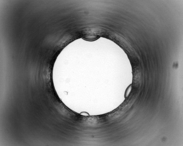 X0000103450282200810101134