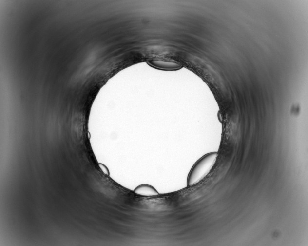 X0000103450283200810101134